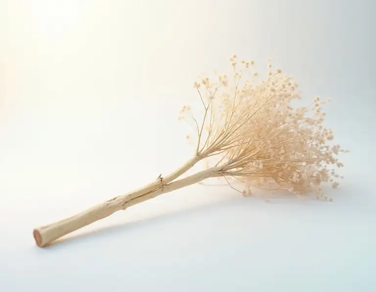 корень лопуха