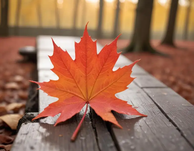 fall