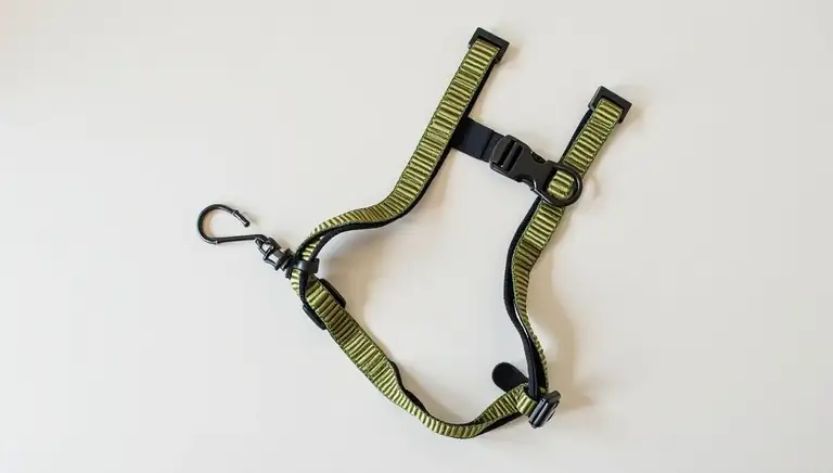 harness