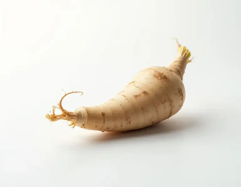 horseradish