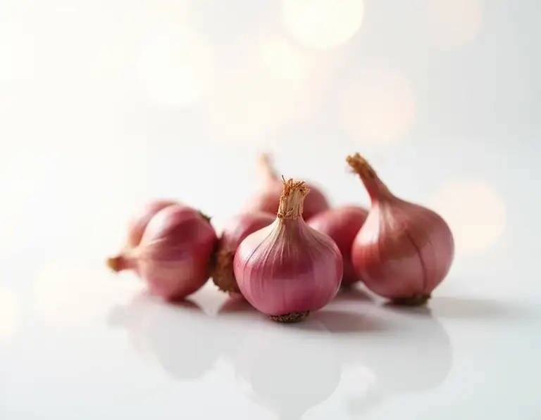 shallot