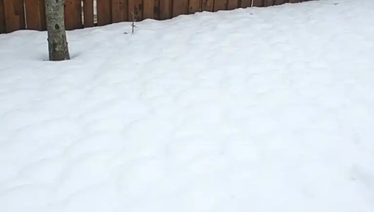 snow