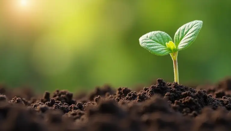 проростать