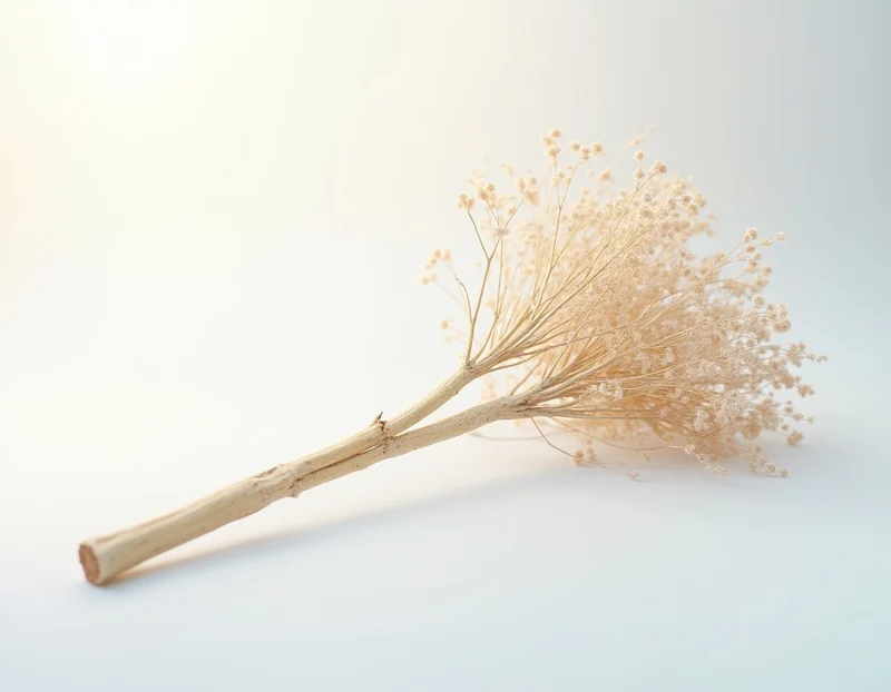 корень лопуха