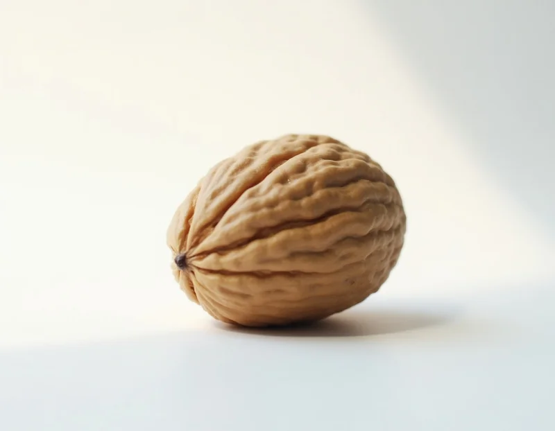 грецкий орех